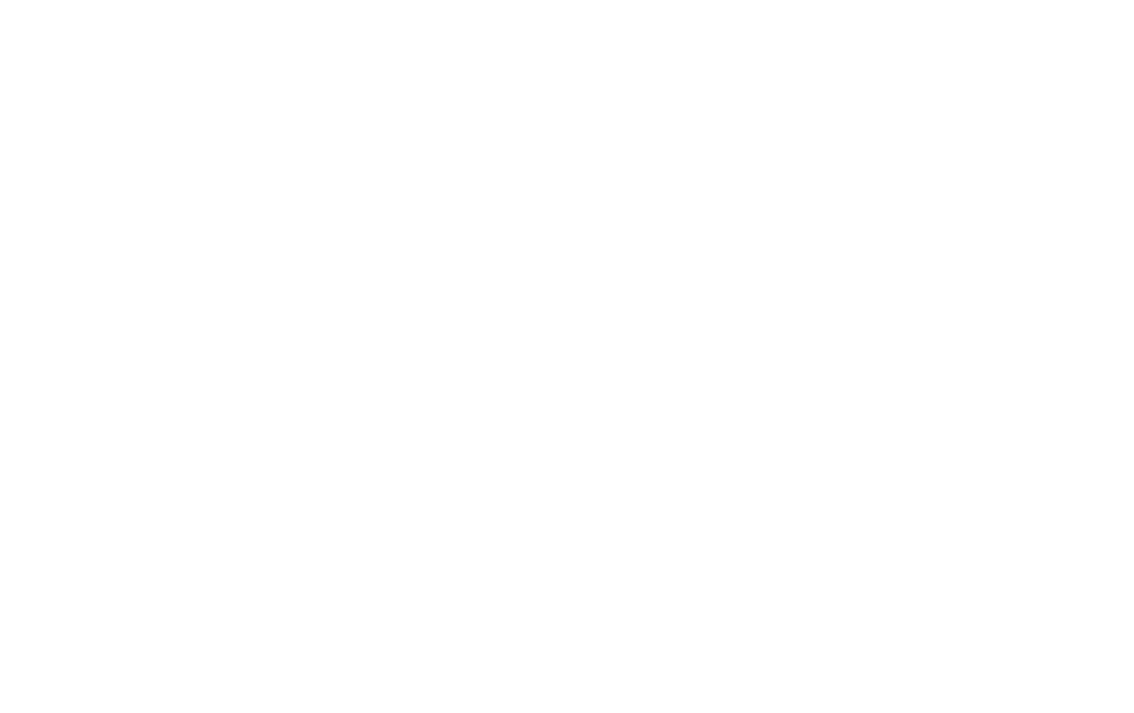 Pilotos y Drones Profesionales